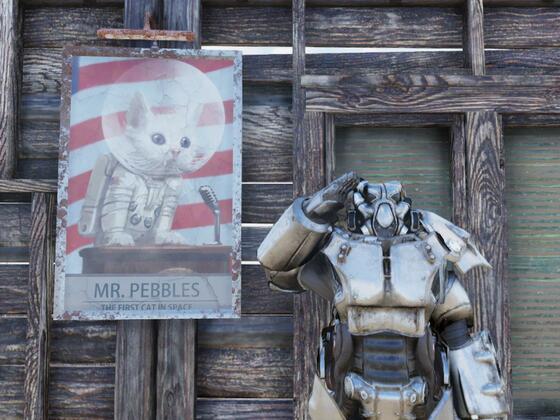 Mr.Pebbles Space Cat