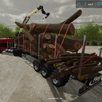 LS22 - Holzschwertransport 2